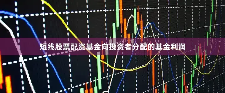 短线股票配资基金向投资者分配的基金利润